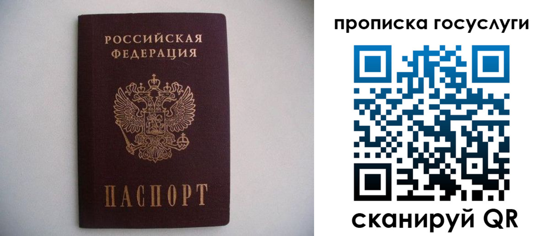 прописка в квартире в Фокино